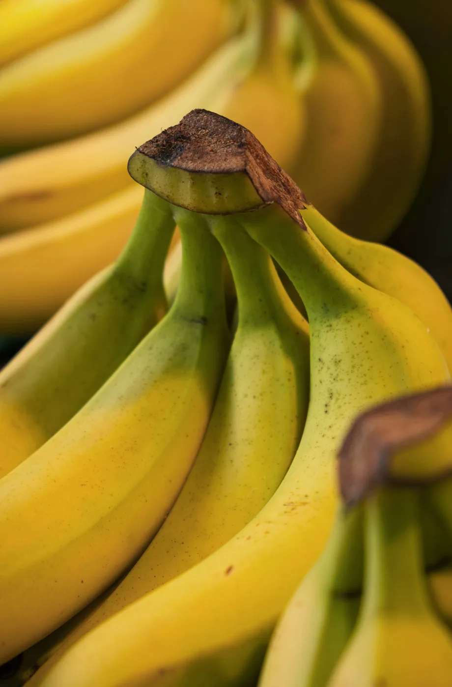 Krupni plan zrelih žutih banana.